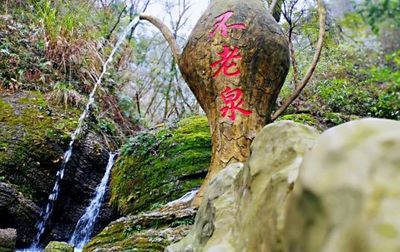 致敬英雄！常山这些景区向全国医护工作者免费开放！